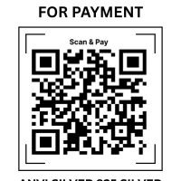 Anvi Silver Payment Scanner QR Code